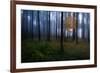 The Dark Light-Christian Lindsten-Framed Photographic Print