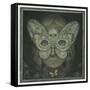 The Dark Web-Wayne Anderson-Framed Stretched Canvas