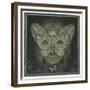 The Dark Web-Wayne Anderson-Framed Giclee Print