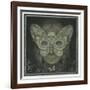 The Dark Web-Wayne Anderson-Framed Giclee Print