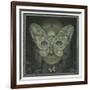 The Dark Web-Wayne Anderson-Framed Giclee Print