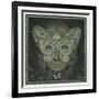 The Dark Web-Wayne Anderson-Framed Giclee Print