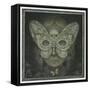 The Dark Web-Wayne Anderson-Framed Stretched Canvas