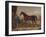 'The Darley Arabian', c1720, (1922)-Unknown-Framed Giclee Print