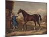 'The Darley Arabian', c1720, (1922)-Unknown-Mounted Giclee Print