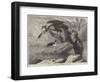 The Darter and Stilt Plover in the Zoological Society's Gardens-Samuel John Carter-Framed Giclee Print