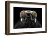 The Darth Vader-Donald Jusa-Framed Photographic Print