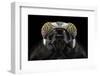 The Darth Vader-Donald Jusa-Framed Photographic Print