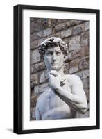 The David, by Michelangelo, Palazzo Vecchio-Nico Tondini-Framed Premium Photographic Print