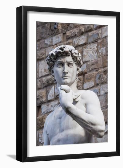 The David, by Michelangelo, Palazzo Vecchio-Nico Tondini-Framed Premium Photographic Print