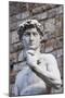 The David, by Michelangelo, Palazzo Vecchio-Nico Tondini-Mounted Premium Photographic Print