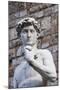 The David, by Michelangelo, Palazzo Vecchio-Nico Tondini-Mounted Photographic Print