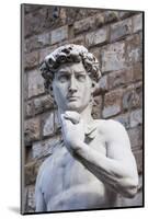 The David, by Michelangelo, Palazzo Vecchio-Nico Tondini-Mounted Photographic Print