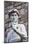 The David, by Michelangelo, Palazzo Vecchio-Nico Tondini-Mounted Photographic Print