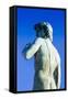 The David Statue at Piazzale Michelangelo, Florence (Firenze), Tuscany, Italy, Europe-Nico Tondini-Framed Stretched Canvas