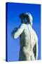 The David Statue at Piazzale Michelangelo, Florence (Firenze), Tuscany, Italy, Europe-Nico Tondini-Stretched Canvas