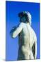 The David Statue at Piazzale Michelangelo, Florence (Firenze), Tuscany, Italy, Europe-Nico Tondini-Mounted Photographic Print