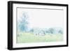 The Dawn Touches the Morning Dew-Jacob Berghoef-Framed Photographic Print