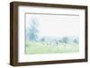 The Dawn Touches the Morning Dew-Jacob Berghoef-Framed Photographic Print