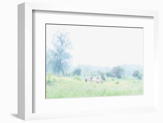 The Dawn Touches the Morning Dew-Jacob Berghoef-Framed Photographic Print
