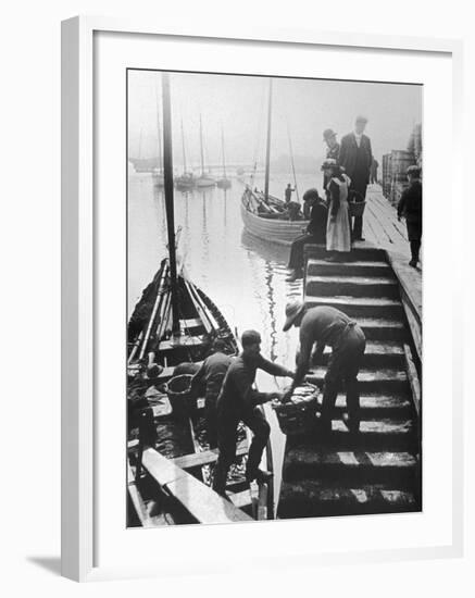 The Day's Catch is Unloaded from a Fishing Boat at Staithes Yorkshire-Graystone Bird-Framed Photographic Print