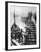 The Day's Catch is Unloaded from a Fishing Boat at Staithes Yorkshire-Graystone Bird-Framed Photographic Print