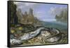 The Day's Catch on the Seashore-Jan van Kessel-Framed Stretched Canvas