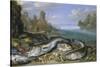 The Day's Catch on the Seashore-Jan van Kessel-Stretched Canvas