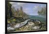 The Day's Catch on the Seashore-Jan van Kessel-Framed Giclee Print