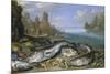 The Day's Catch on the Seashore-Jan van Kessel-Mounted Giclee Print