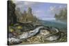 The Day's Catch on the Seashore-Jan van Kessel-Stretched Canvas