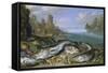 The Day's Catch on the Seashore-Jan van Kessel-Framed Stretched Canvas