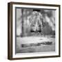 The Day we went Jumping in Puddles-Howard Ashton-Jones-Framed Photographic Print