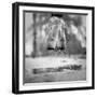 The Day we went Jumping in Puddles-Howard Ashton-Jones-Framed Photographic Print