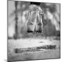The Day we went Jumping in Puddles-Howard Ashton-Jones-Mounted Photographic Print