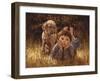 The Daydreamer-Jim Daly-Framed Art Print