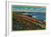 The Daylight Limited Train on California Coast - California Coast-Lantern Press-Framed Art Print