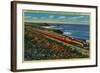 The Daylight Limited Train on California Coast - California Coast-Lantern Press-Framed Art Print