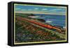 The Daylight Limited Train on California Coast - California Coast-Lantern Press-Framed Stretched Canvas