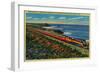 The Daylight Limited Train on California Coast - California Coast-Lantern Press-Framed Art Print