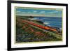 The Daylight Limited Train on California Coast - California Coast-Lantern Press-Framed Premium Giclee Print