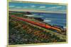 The Daylight Limited Train on California Coast - California Coast-Lantern Press-Mounted Premium Giclee Print