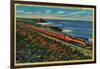 The Daylight Limited Train on California Coast - California Coast-Lantern Press-Framed Art Print