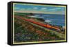 The Daylight Limited Train on California Coast - California Coast-Lantern Press-Framed Stretched Canvas