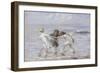 The Days of Summer-Robert Gemmell Hutchison-Framed Giclee Print