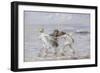 The Days of Summer-Robert Gemmell Hutchison-Framed Giclee Print