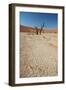 The Dead Acacia Trees of Deadvlei at Sunrise-Alex Saberi-Framed Photographic Print