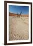 The Dead Acacia Trees of Deadvlei at Sunrise-Alex Saberi-Framed Photographic Print