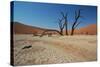 The Dead Acacia Trees of Deadvlei at Sunrise-Alex Saberi-Stretched Canvas