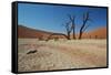 The Dead Acacia Trees of Deadvlei at Sunrise-Alex Saberi-Framed Stretched Canvas